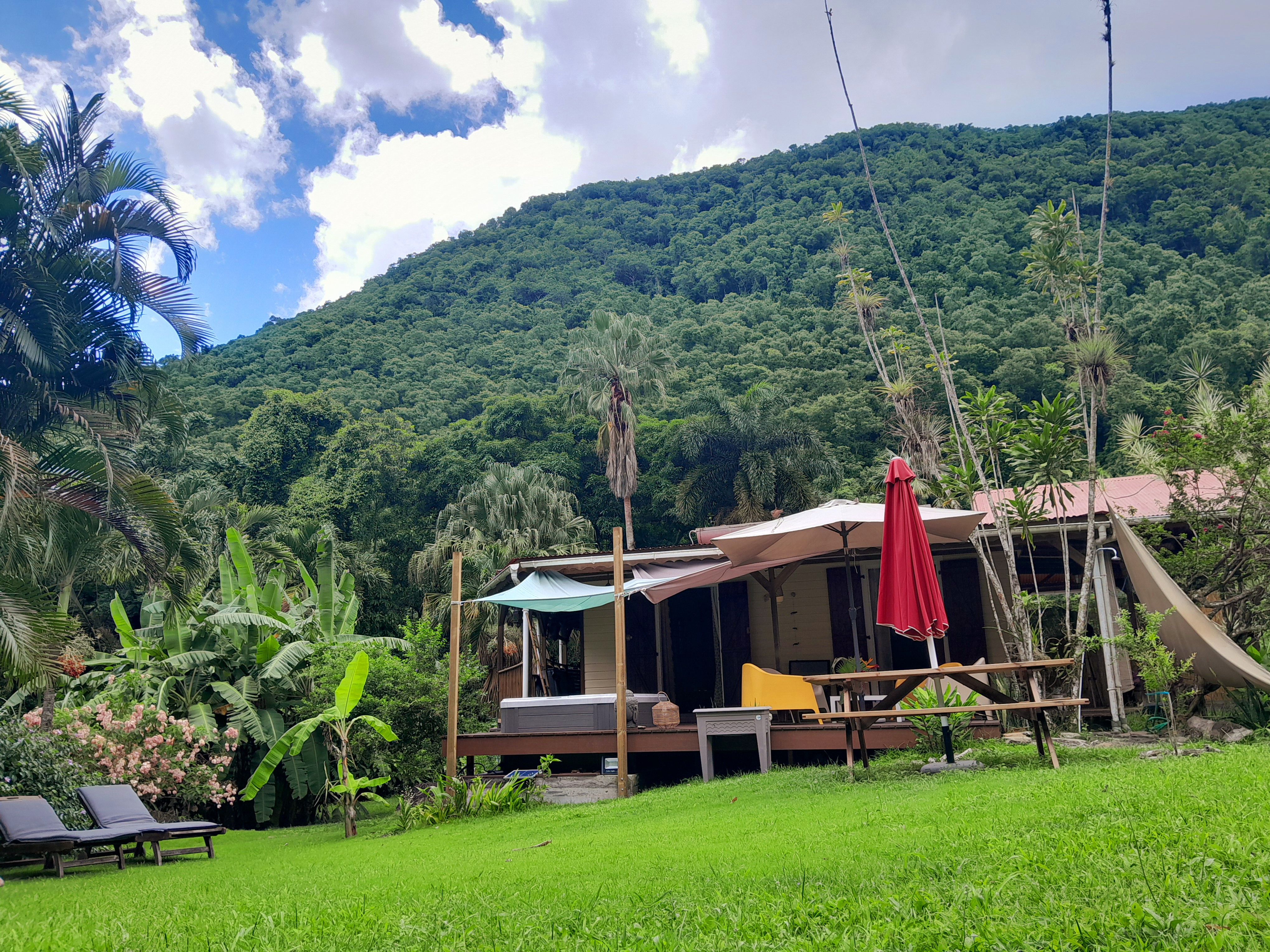 Jardin tropical