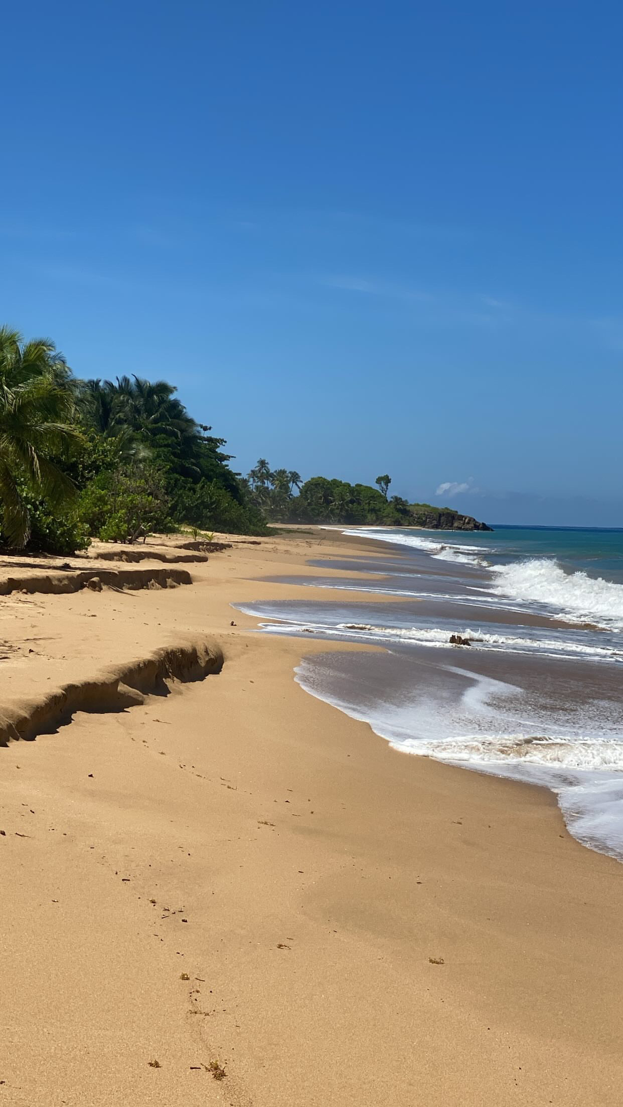 Plage de la côte sous-le-vent en Guadeloupe