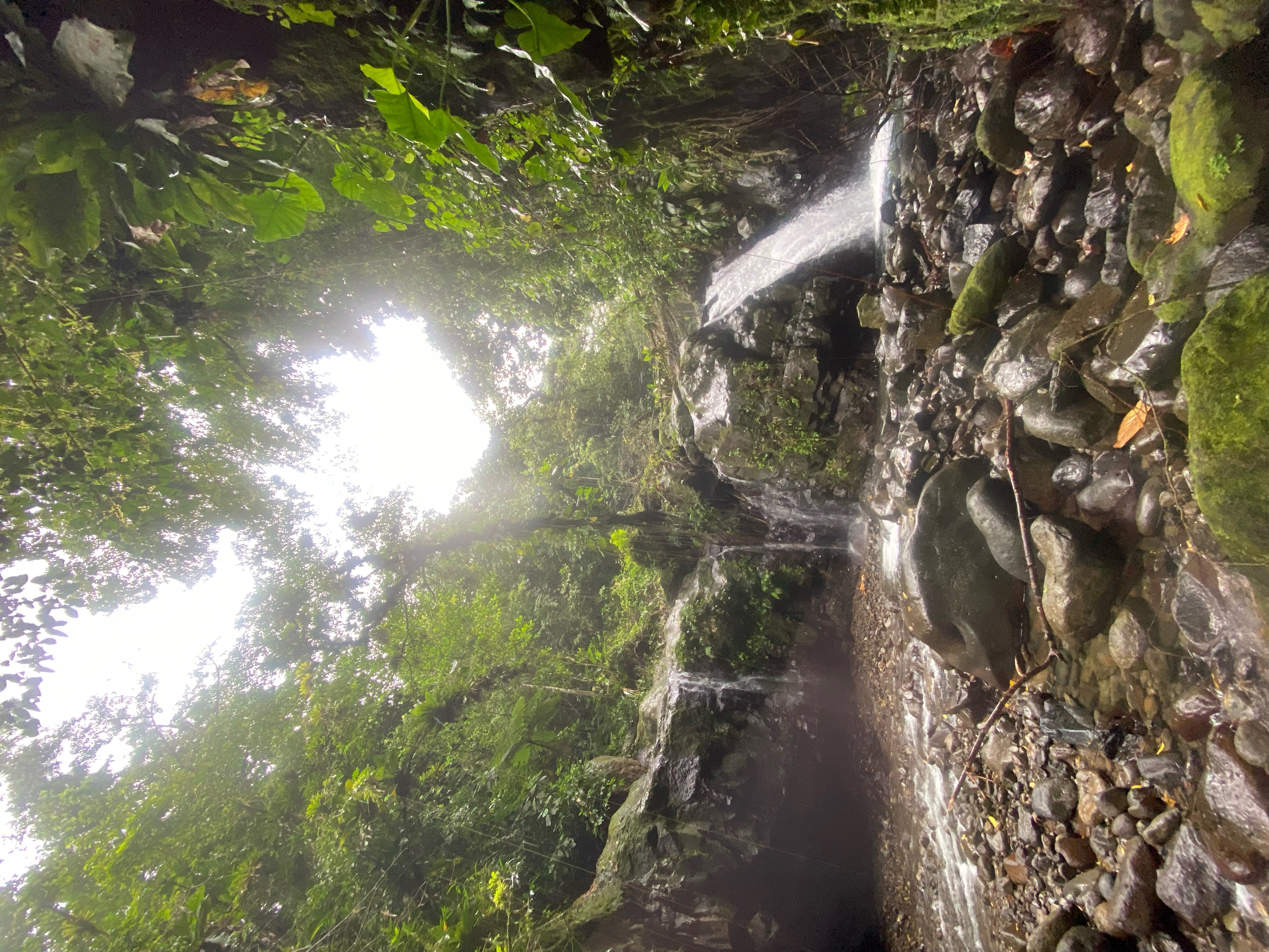 Rivière et bassin naturel en Guadeloupe